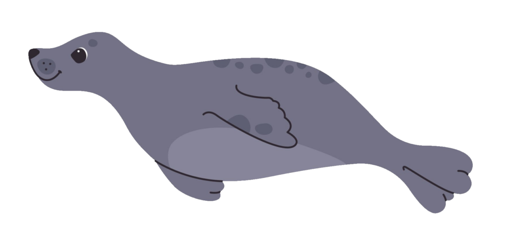 Sea Lion clipart PNG