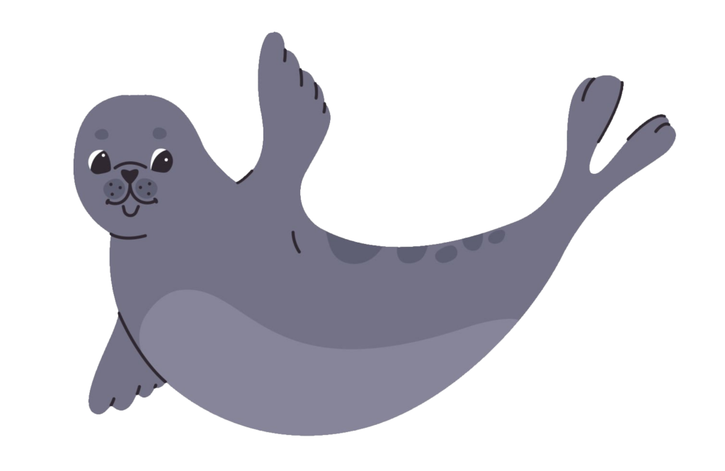 Sea Lion clipart PNG