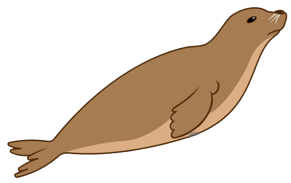 Sea Lion clipart PNG