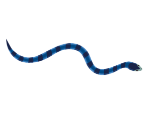 Blue Snake Drawing PNG