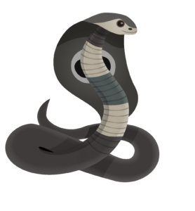 Snake Vector PNG