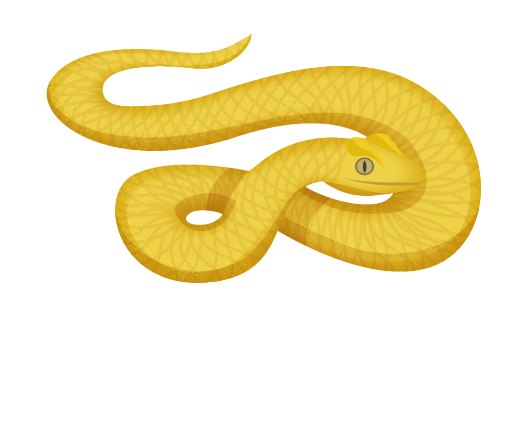 Animated Yellow Snake PNG
