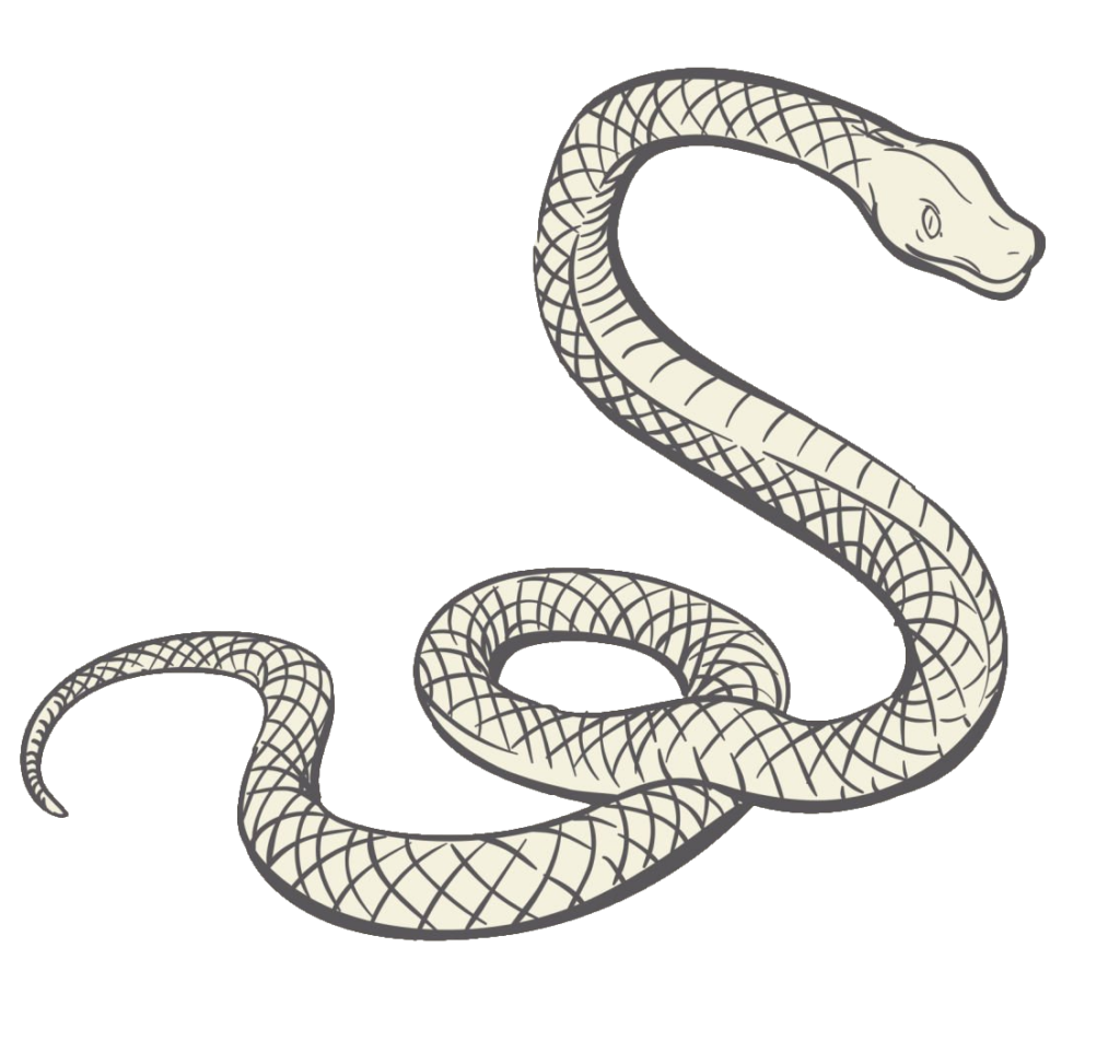 Snake Drawing PNG