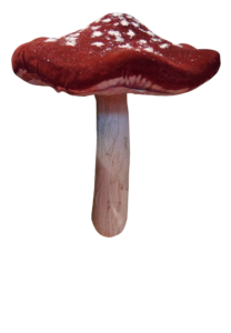 Red Mushroom PNG Image