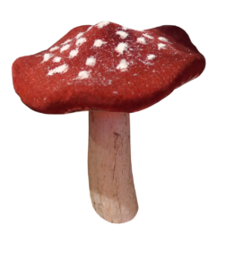 Red Mushroom PNG