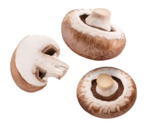 Button Mushroom PNG