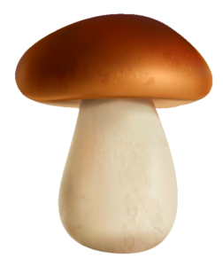Animated Single Mushroom PNG