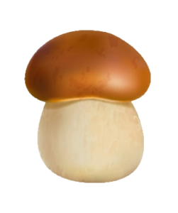 Animated Mushroom PNG