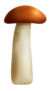Single Animated Mushroom PNG