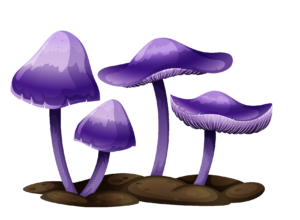 Purple Fungus Mushroom Clipart PNG