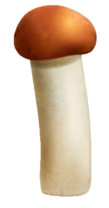 1000069176
