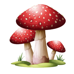 Mushroom Clipart PNG