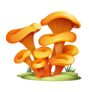 Fantasy Mushroom PNG
