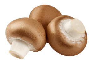Brown Button Mushroom PNG