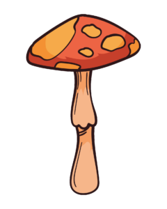 Mushroom Clipart PNG