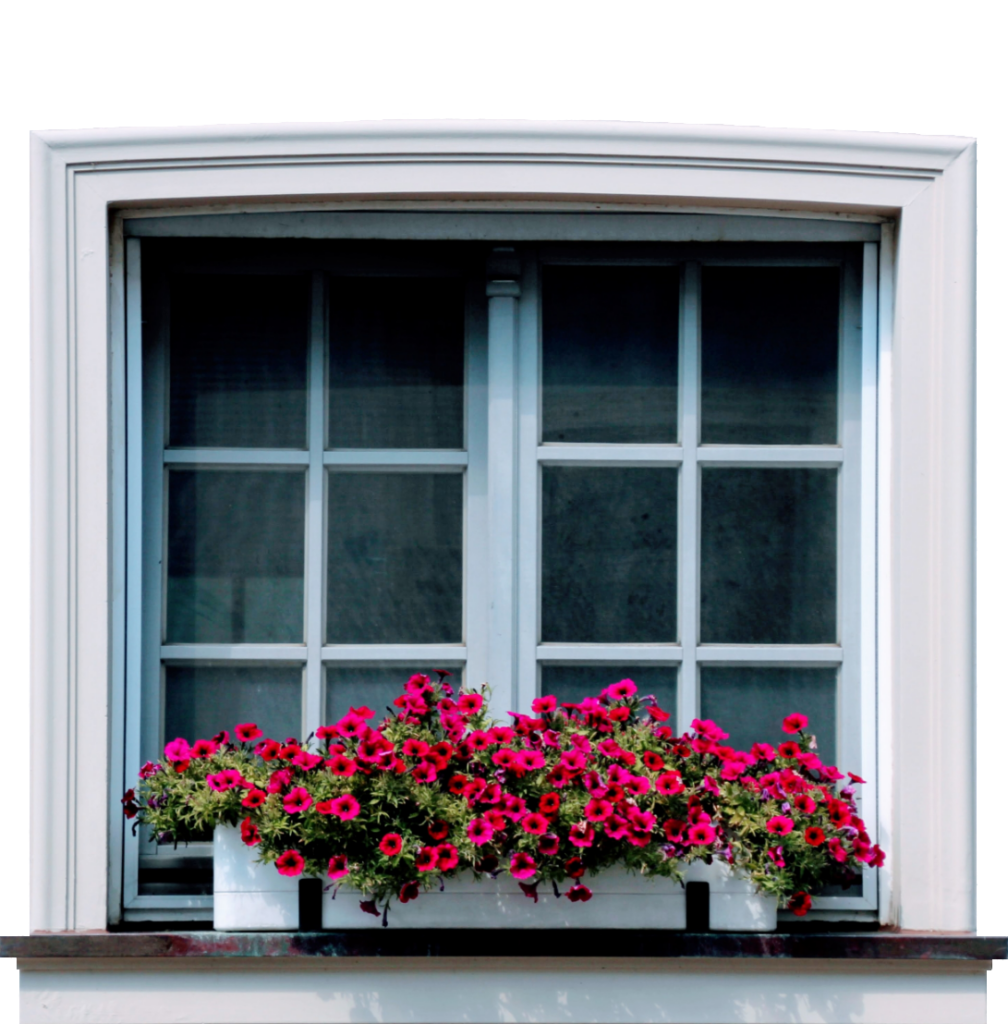 Closed House Window With Flowers PNG