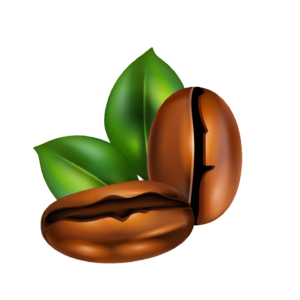 Coffee Beans Illustration PNG