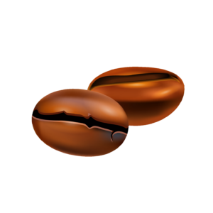 Coffee Beans Illustration PNG