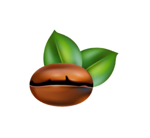 Animated Coffee Bean PNG