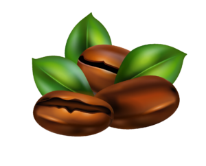 Coffee Beans PNG