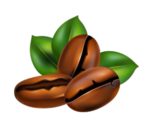 Coffee Beans Illustration PNG