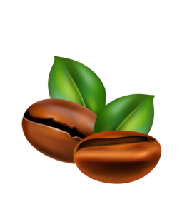 Animated Coffee Beans PNG