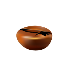 One Coffee Bean Illustration PNG