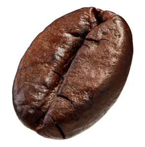 HD Coffee Bean PNG