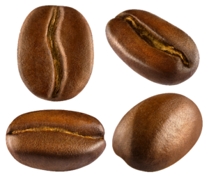 High-resolution Coffee Beans PNG