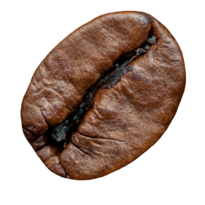 Single Coffee Bean PNG