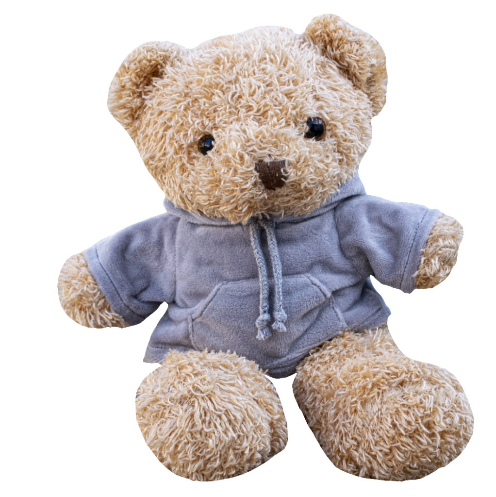 Small Teddy Bear PNG