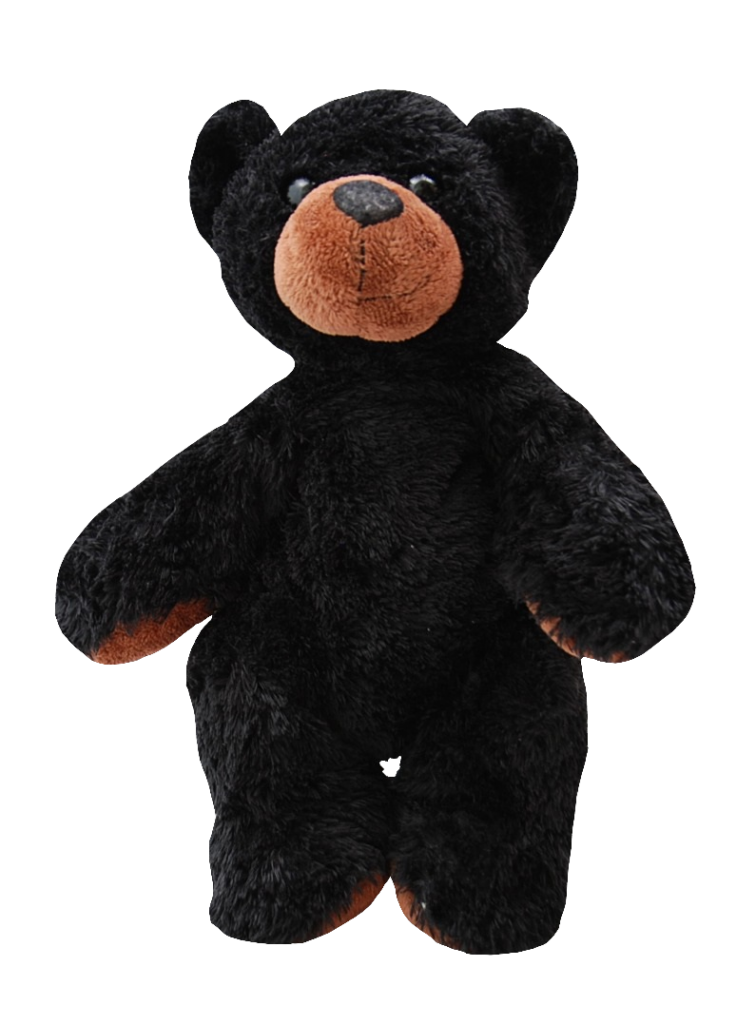 Black Teddy Bear PNG