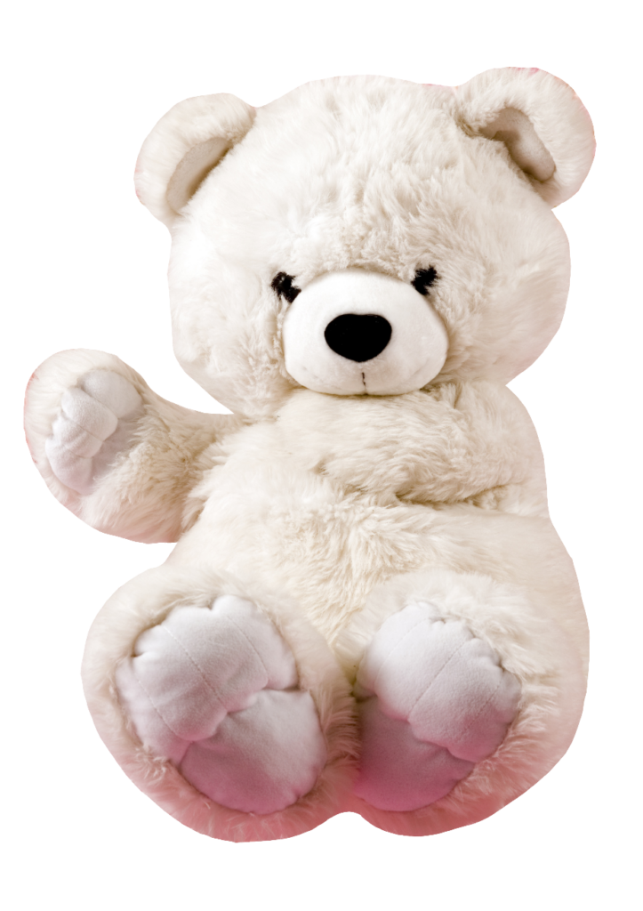 White Teddy Bear PNG