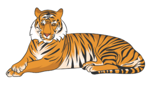 Sitting Tiger clipart PNG