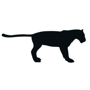 Tiger Silhouette PNG