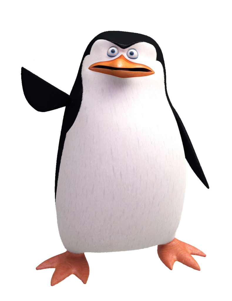 Skipper Penguins Of Madagascar PNG