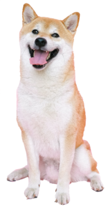 Cheems Dog Png