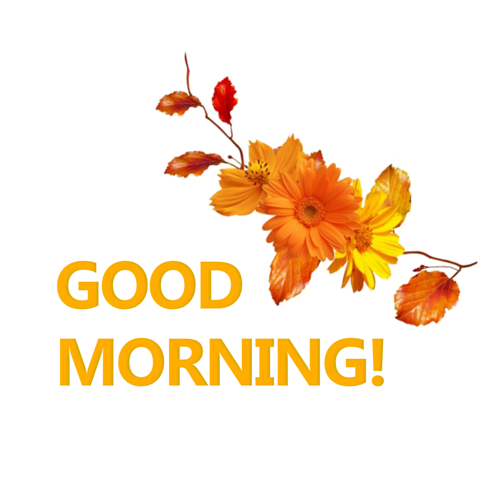 Good Morning PNG Transparent Images Free Download - Pngfre
