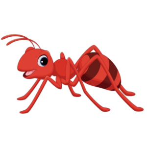 Ant-1
