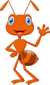 Ant-14