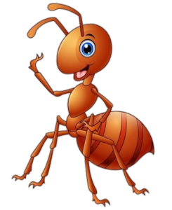 Ant-15