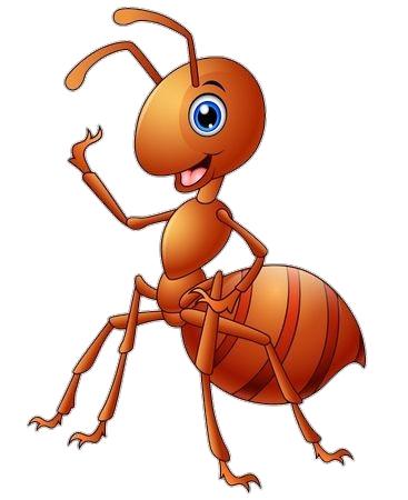 Ant PNG Transparent Images Free Download - Pngfre