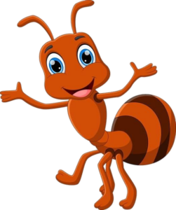 Ant-16