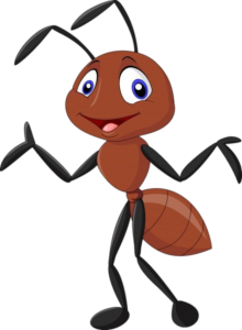 Ant-19