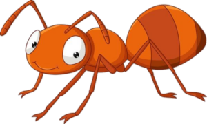 Ant-20