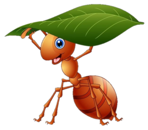 Ant-22
