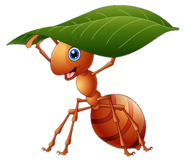 Ant Clipart Png