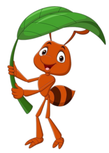 Ant-23