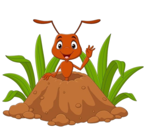 Ant-24