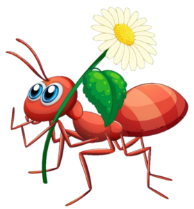Ant-28